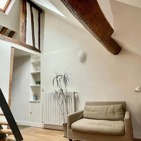 Marais 4th Rooftop With Mezzanine Managed By Mey Agency Paris